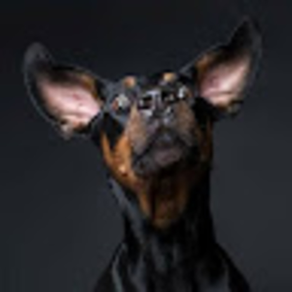 Meet your Posher, Luana